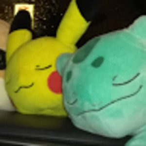 Meet your Posher, Erik